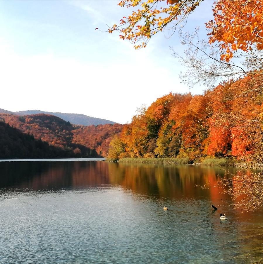 Plitvice Konak Daic Plitvička Jezera Kültér fotó